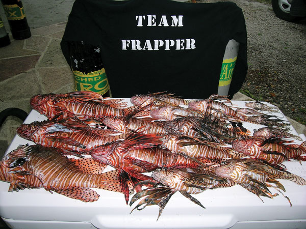 Team-Frapper-and-lionfish